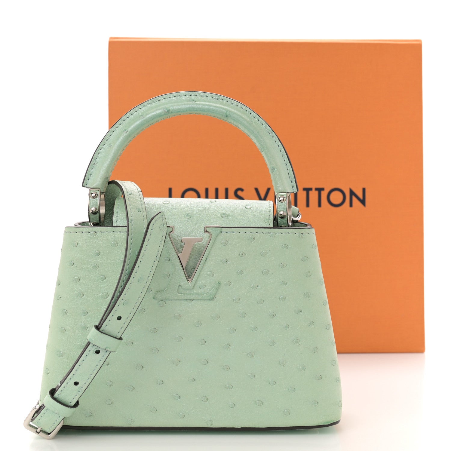 Louis Vuitton Iridescent Ostrich Capucines Mini Vert d’Eau 13 of 13