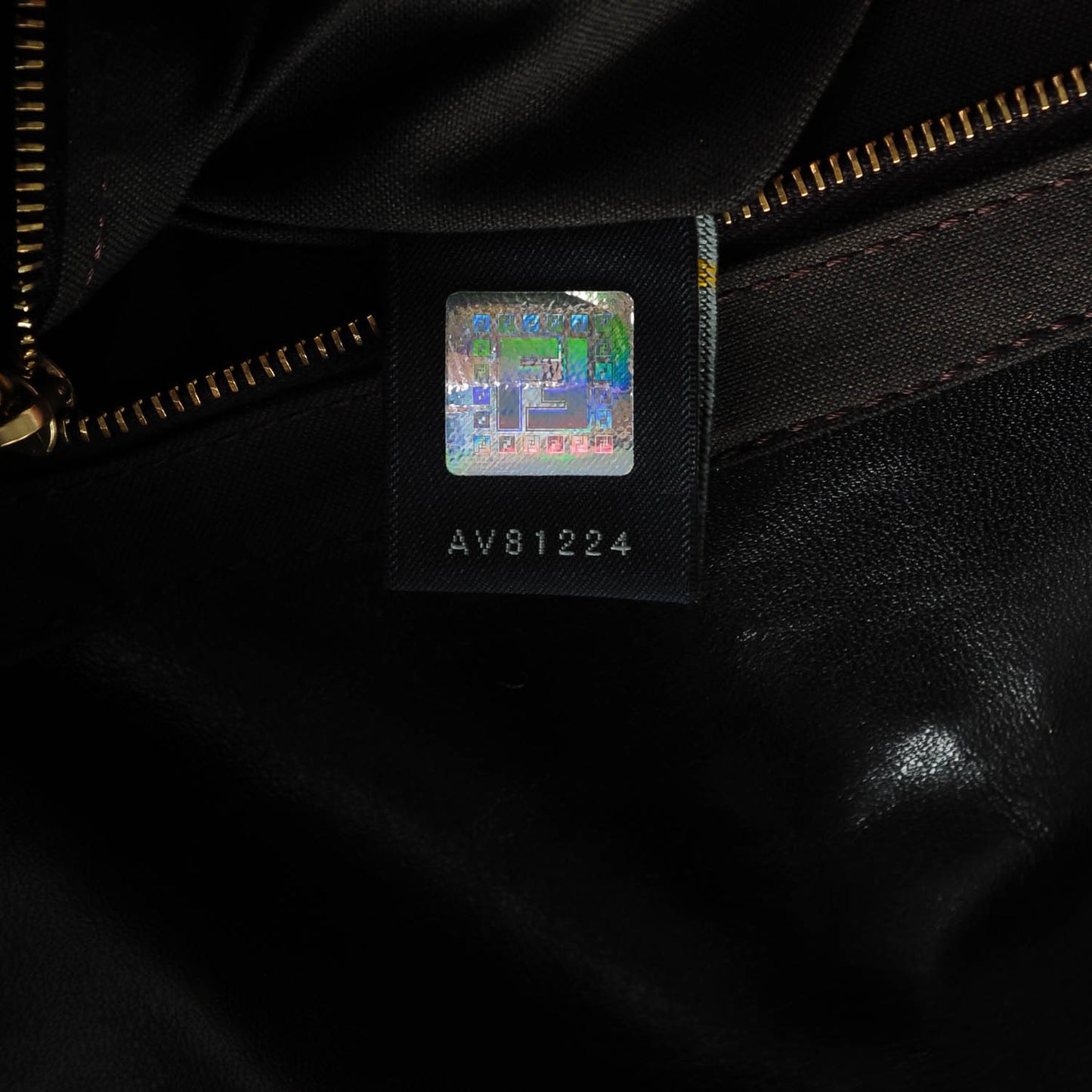 Vitello Acqua Maxi Baguette Shoulder Bag Black