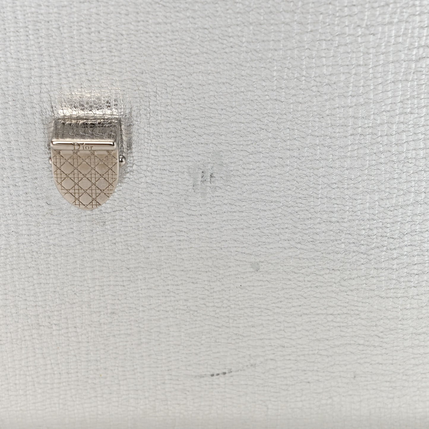 Goatskin Diorever Wallet On Chain Argent