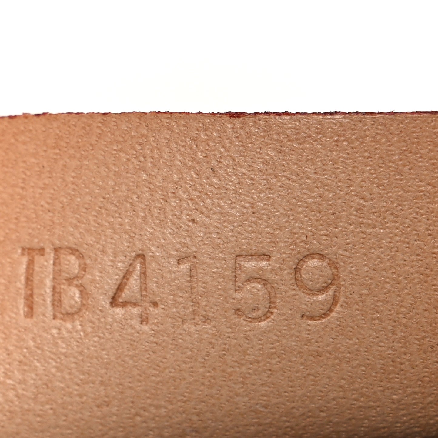 Monogram Nano Speedy