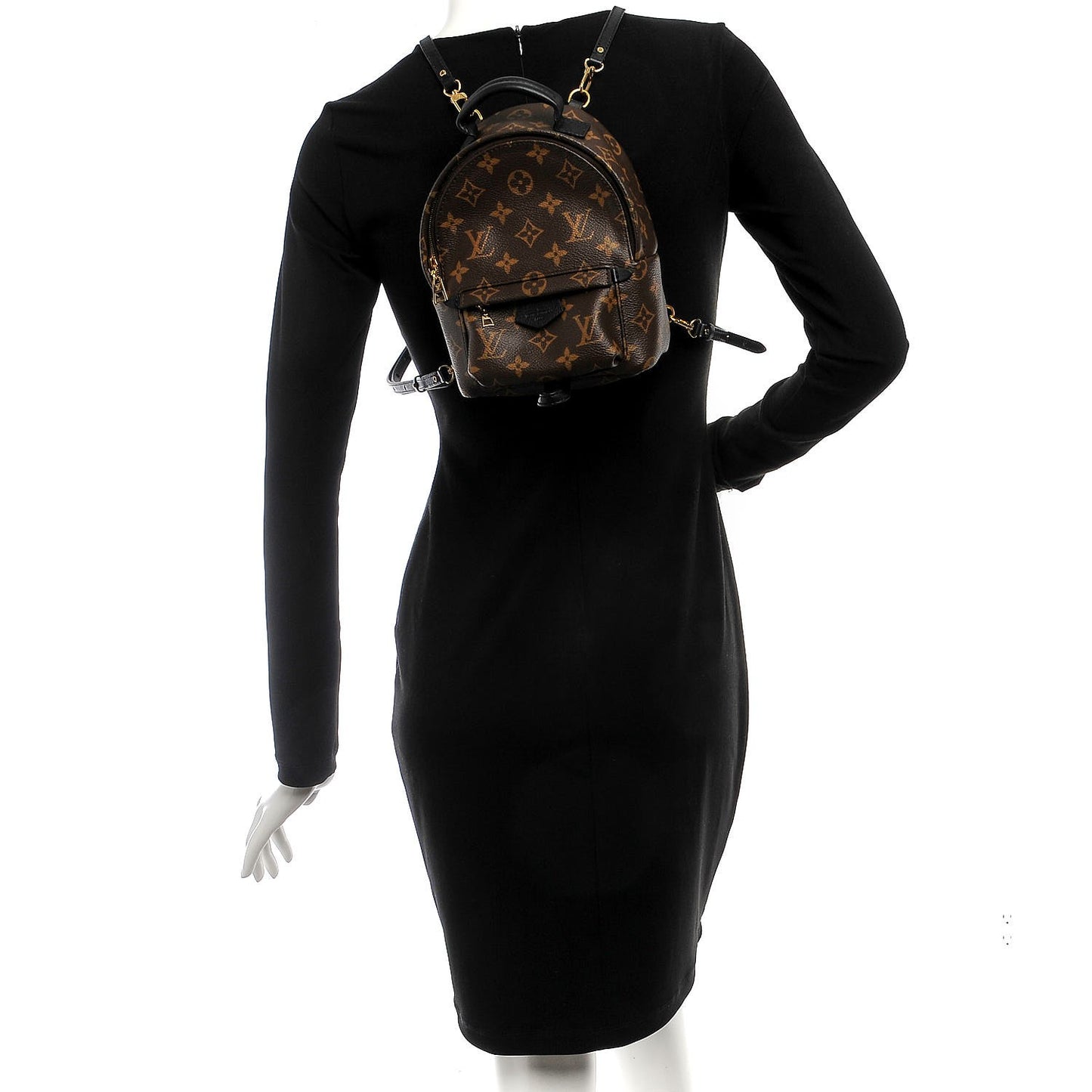 Monogram Palm Springs Backpack Mini