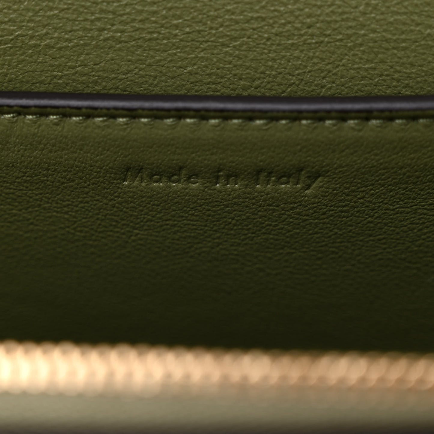 Shiny Smooth Calfskin Medium Frame Shoulder Bag Pastel Green