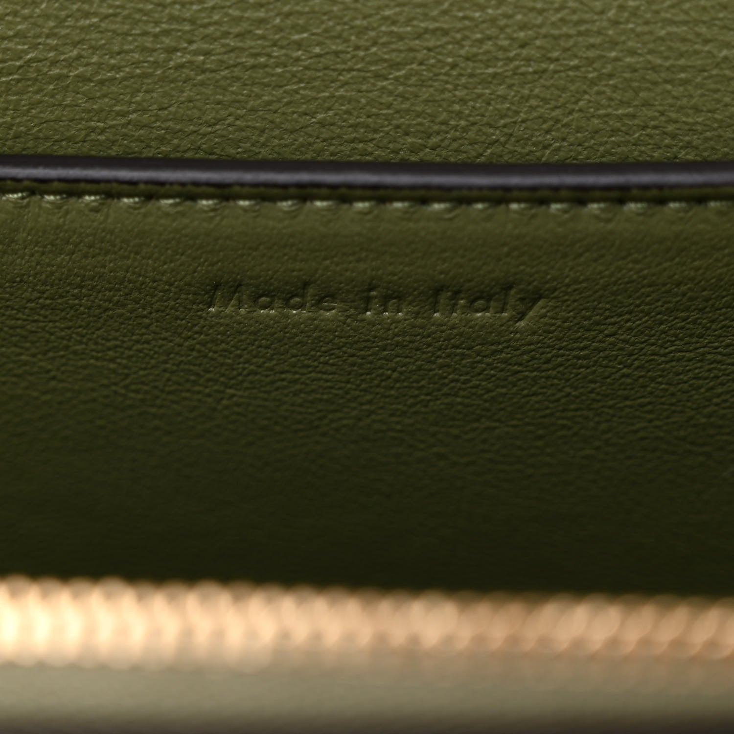 Celine Shiny Smooth Calfskin Medium Frame Shoulder Bag Pastel Green 7 of 14