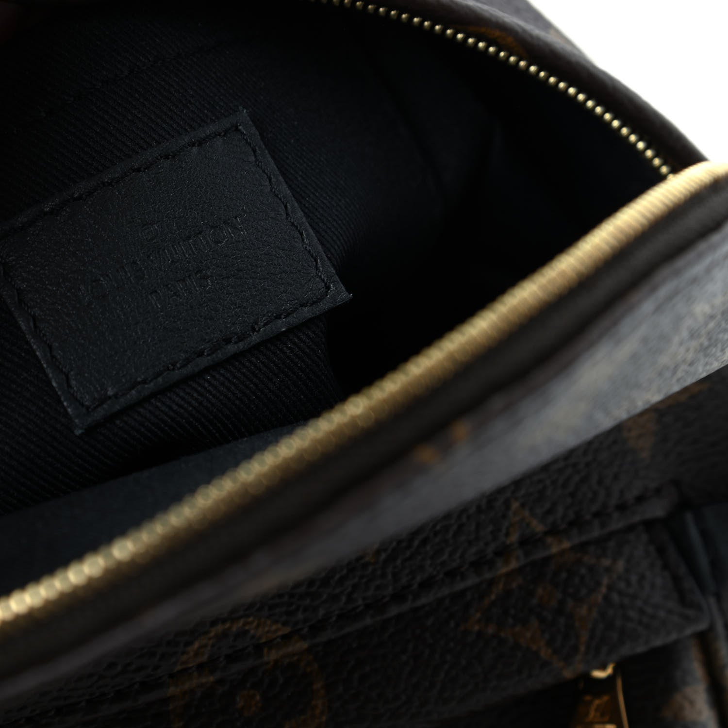Louis Vuitton Monogram Palm Springs Backpack Mini 8 of 10