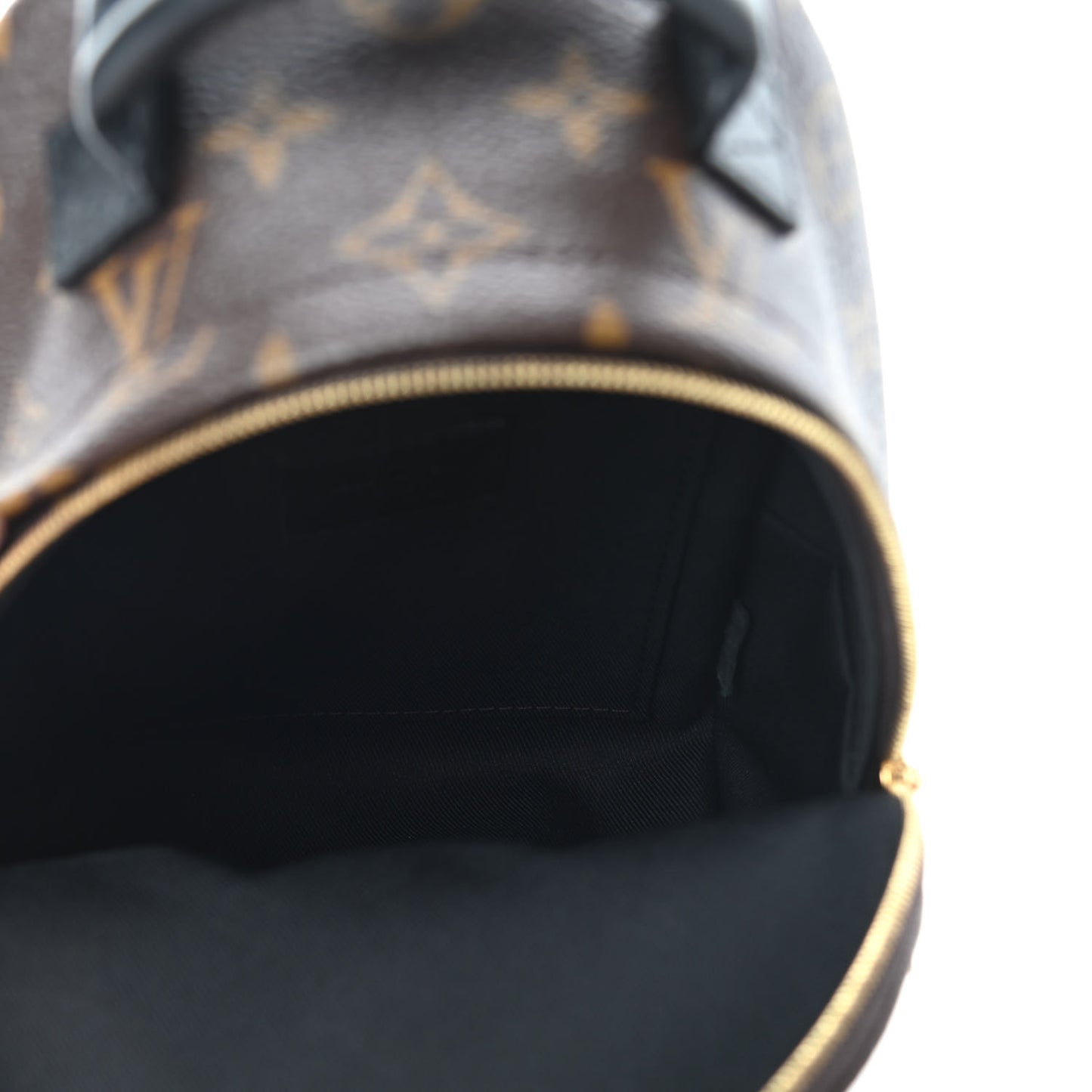 Monogram Palm Springs Backpack Mini