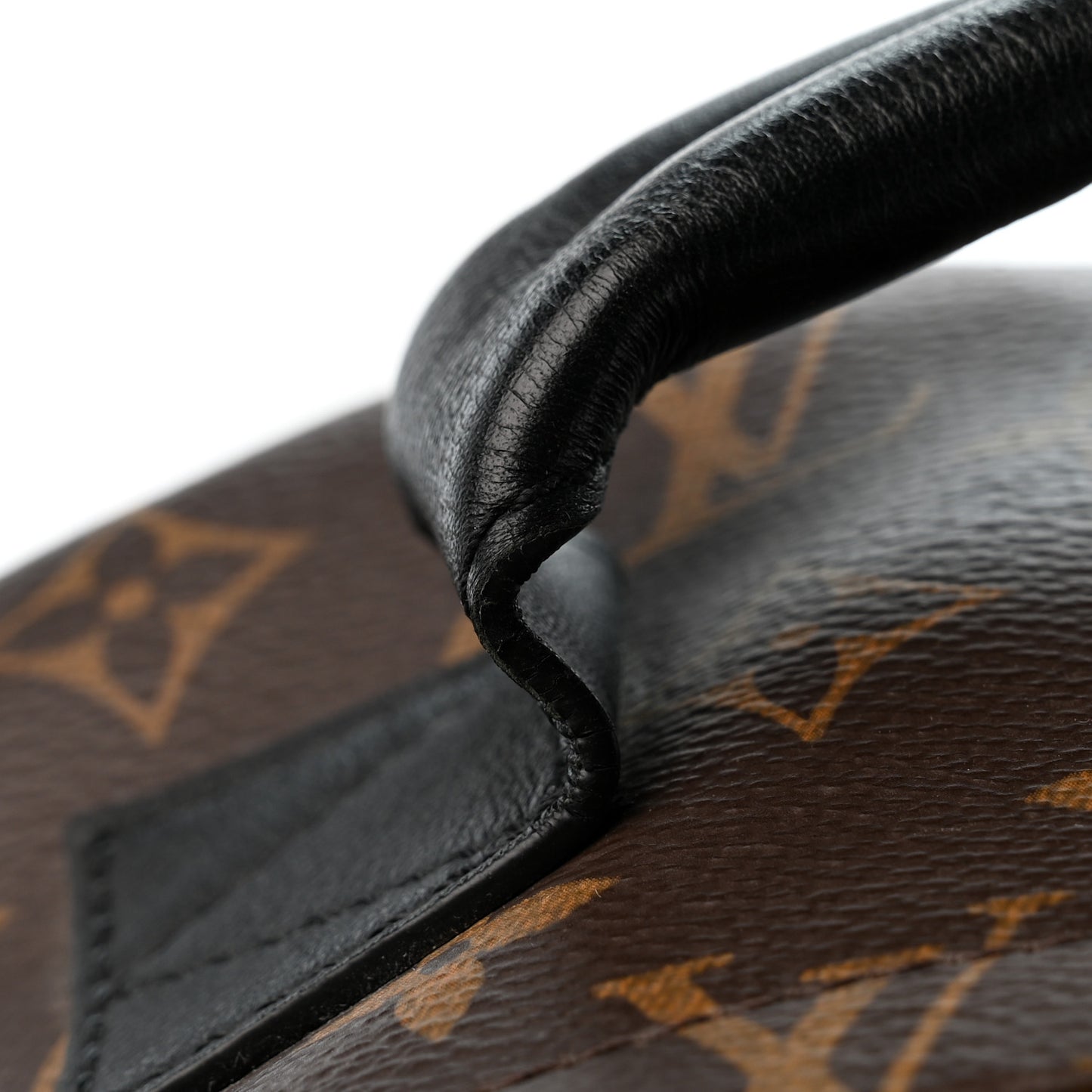 Monogram Palm Springs Backpack MM