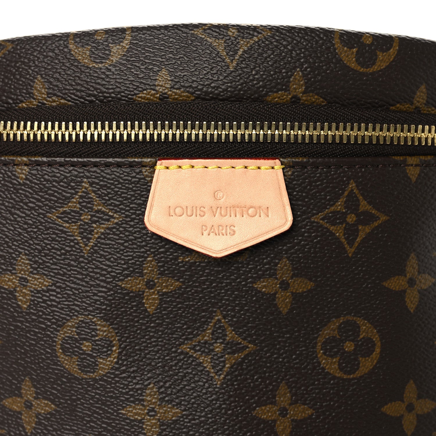 Louis Vuitton Monogram Bumbag 6 of 9