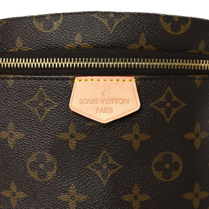 Louis Vuitton Monogram Bumbag 6 of 9