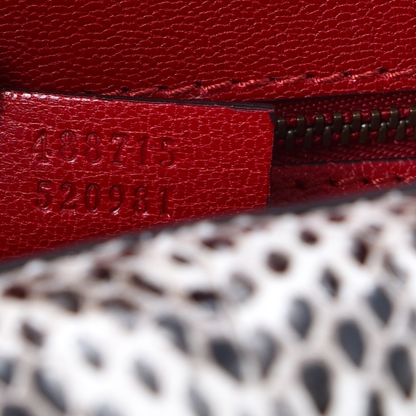 Calfskin Snakeskin Studded Small Ottilia Top Handle Bag Hibiscus Red