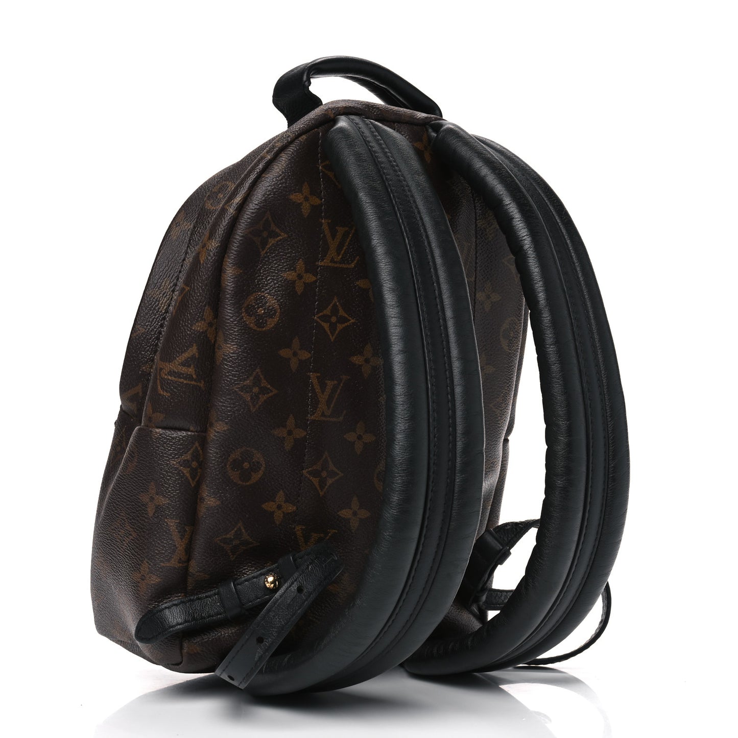 Monogram Palm Springs Backpack PM