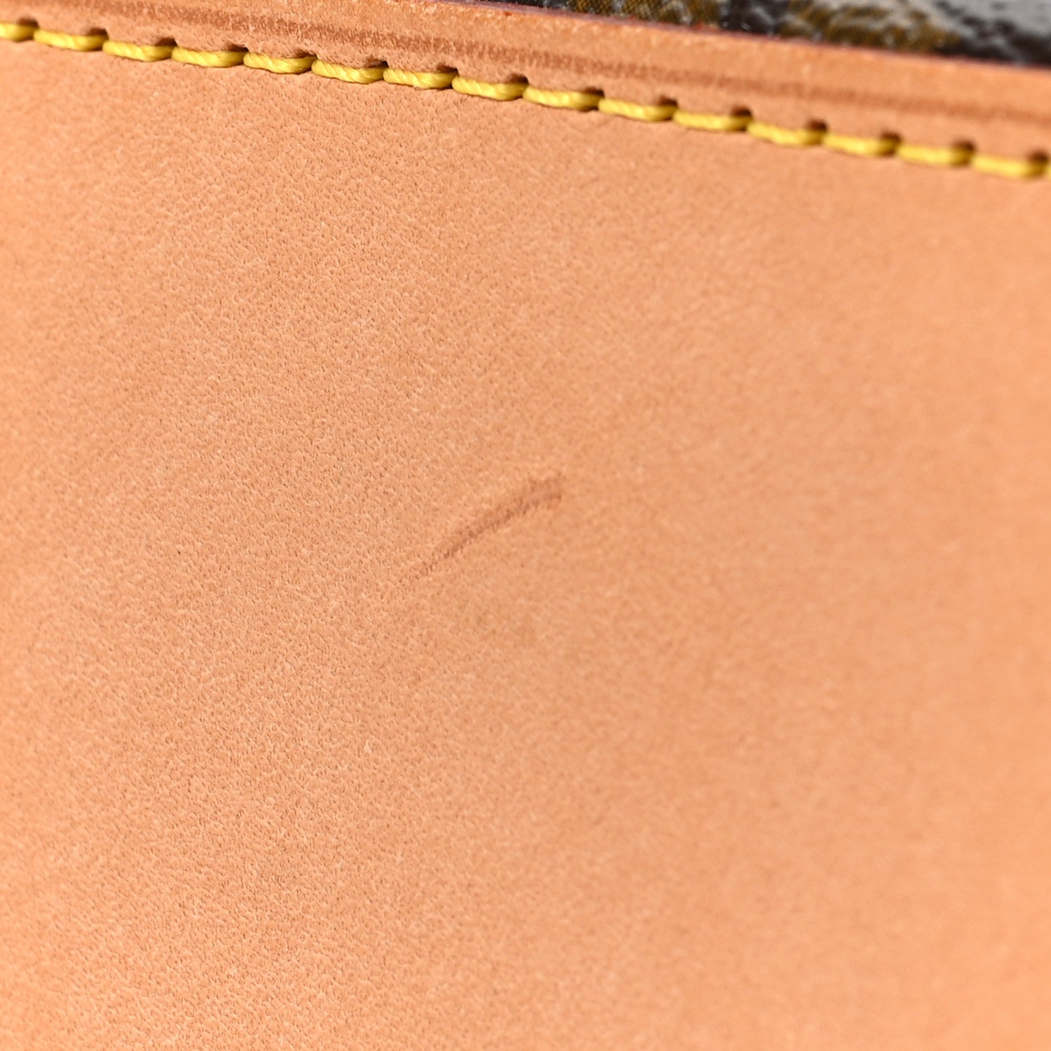 Louis Vuitton Monogram Panda Trotteur 9 of 9