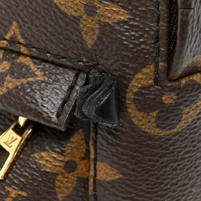 Louis Vuitton Monogram Palm Springs Backpack Mini 11 of 13