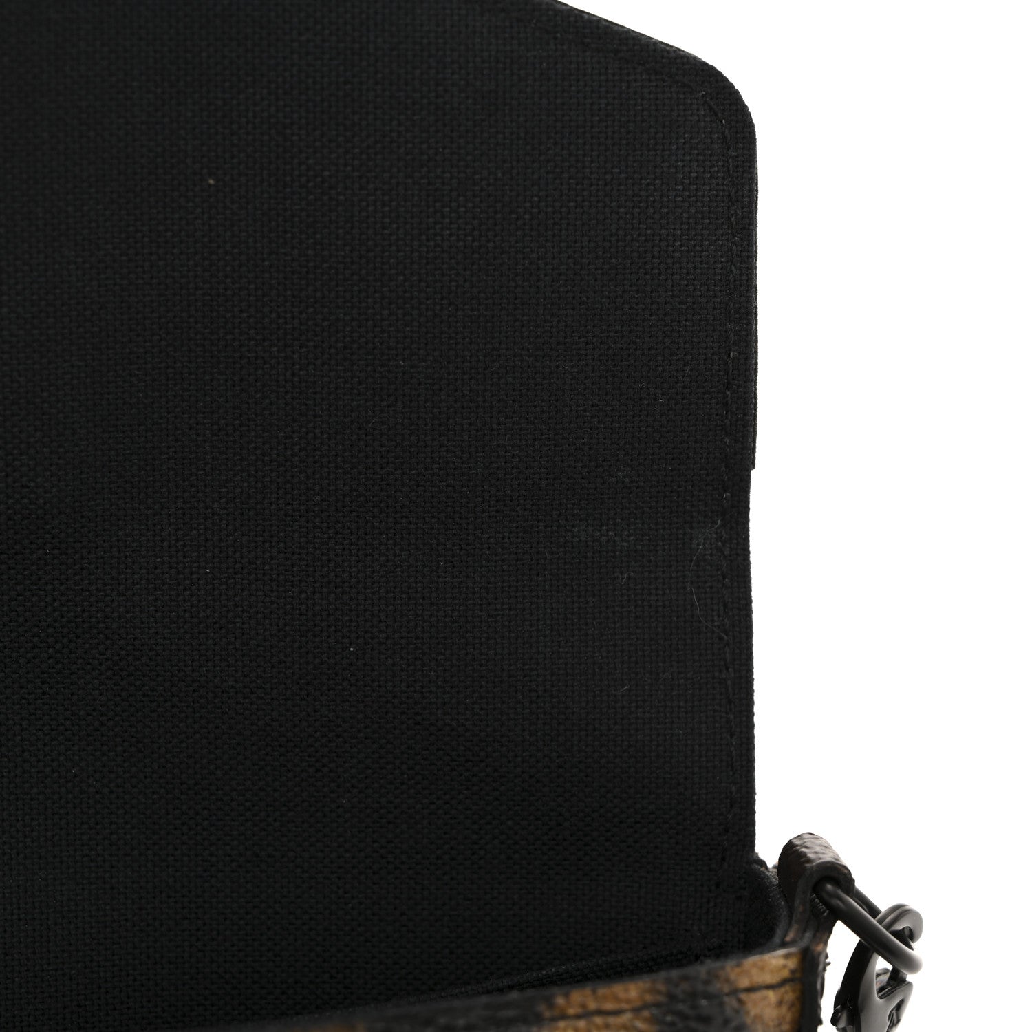 Louis Vuitton Monogram Animal Print Pochette Felicie Chain Wallet 12 of 15