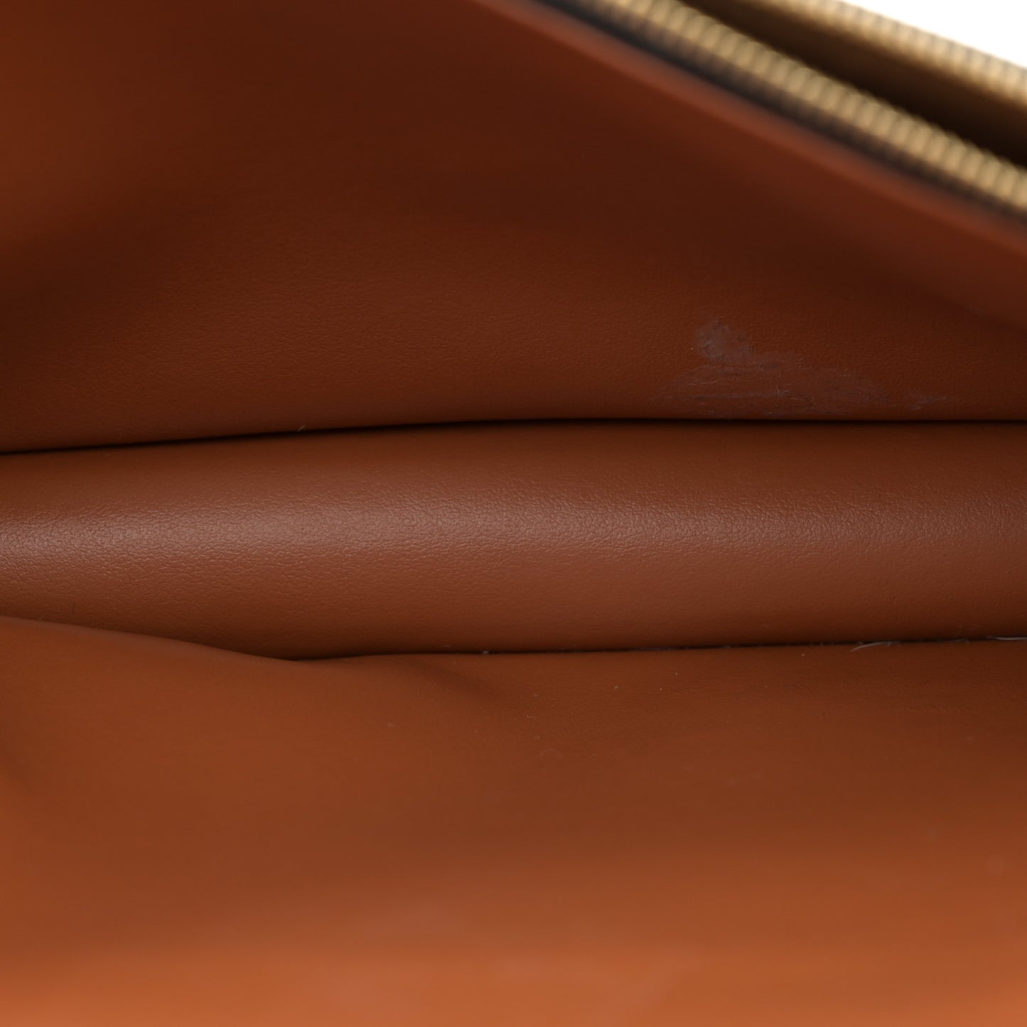 Triomphe Canvas Lambskin Wallet On Strap Tan