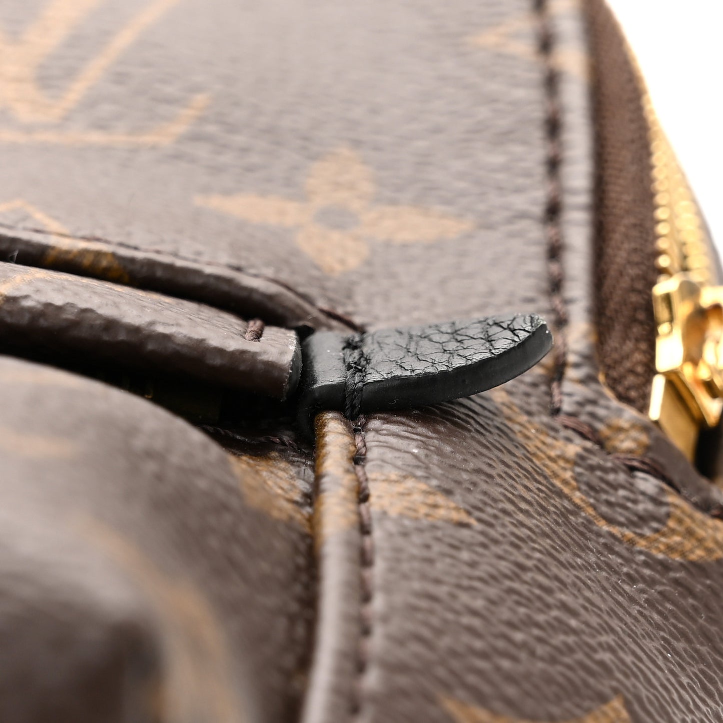 Monogram Palm Springs Backpack Mini