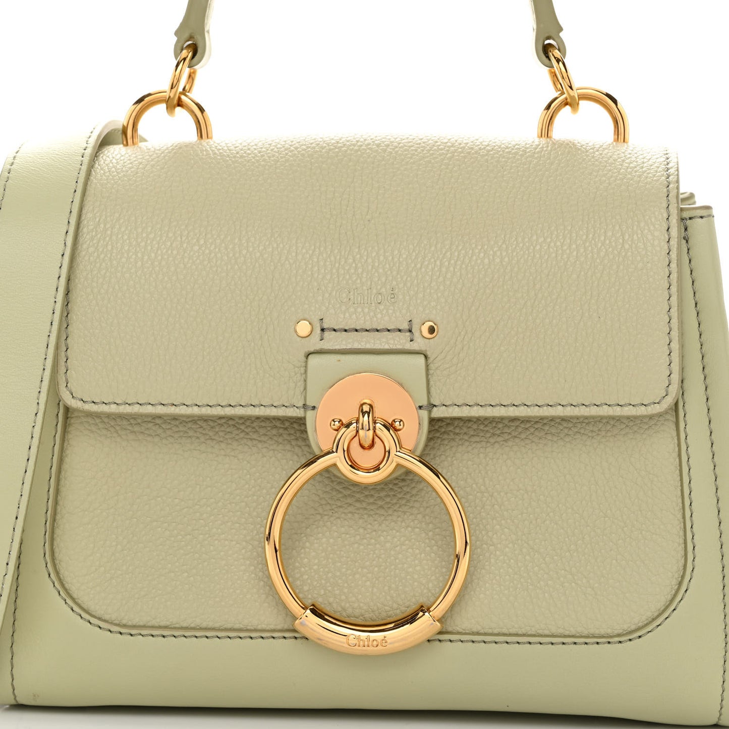 Calfskin Mini Tess Day Bag Light Eucalyptus
