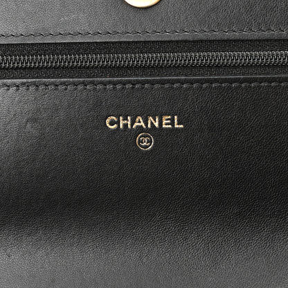 Chanel Lambskin Quilted Chanel 19 Wallet On Chain WOC Black 6 of 12