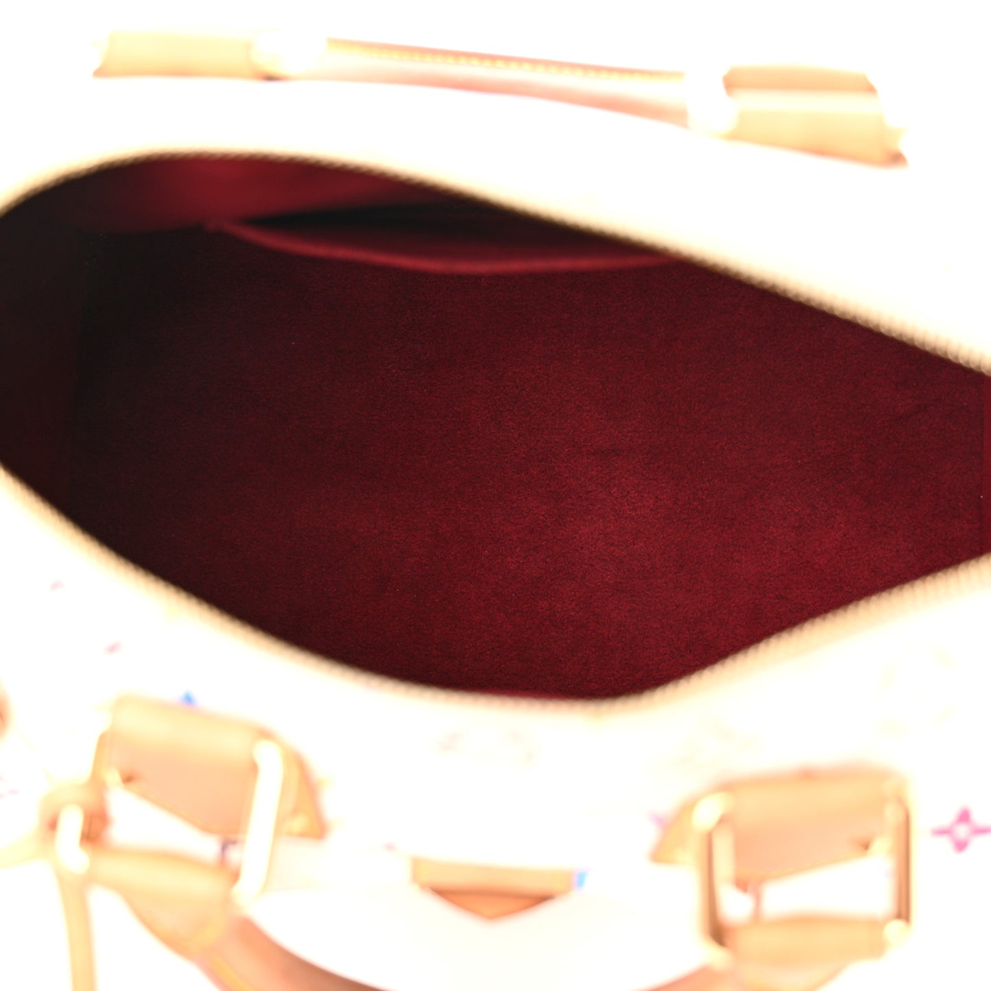 Monogram Multicolor Speedy 30 White