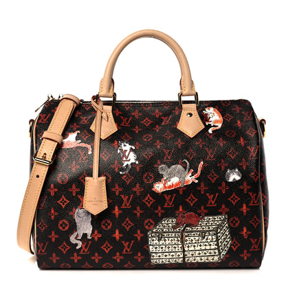 Louis Vuitton Catogram Speedy Bandouliere 30 Marron 1 of 14