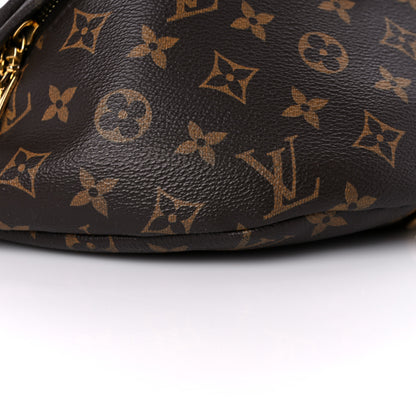 Louis Vuitton Monogram Bumbag 7 of 15