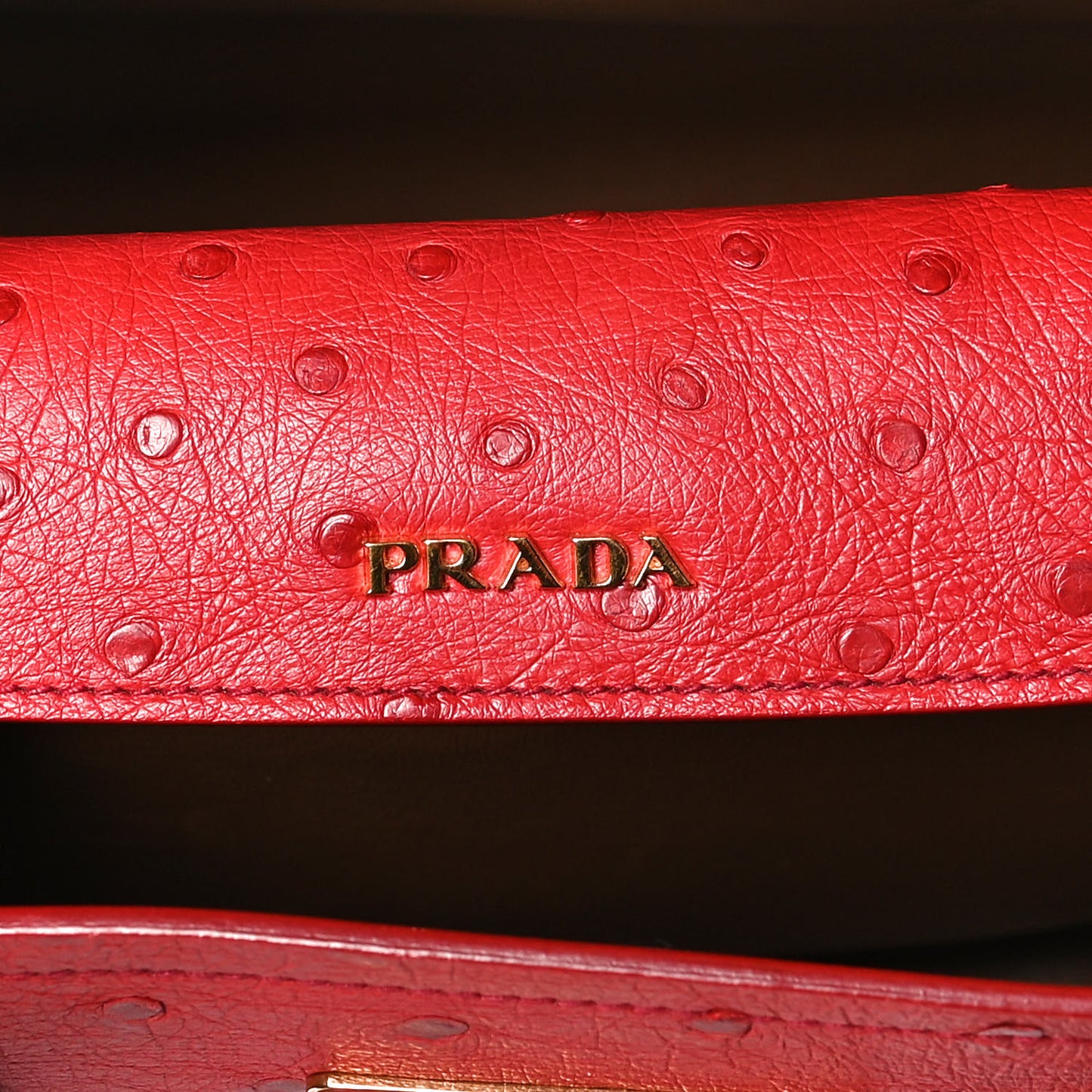 Ostrich Medium Double Bag Rosso