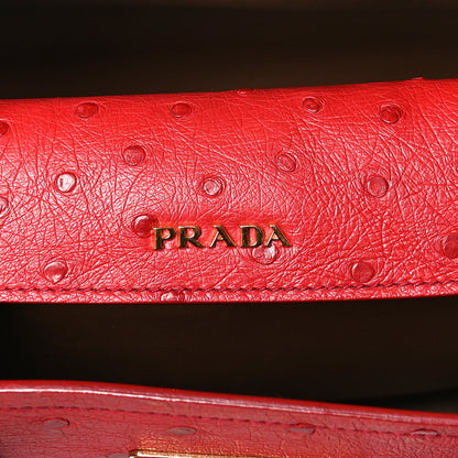 Prada Ostrich Medium Double Bag Rosso 6 of 10