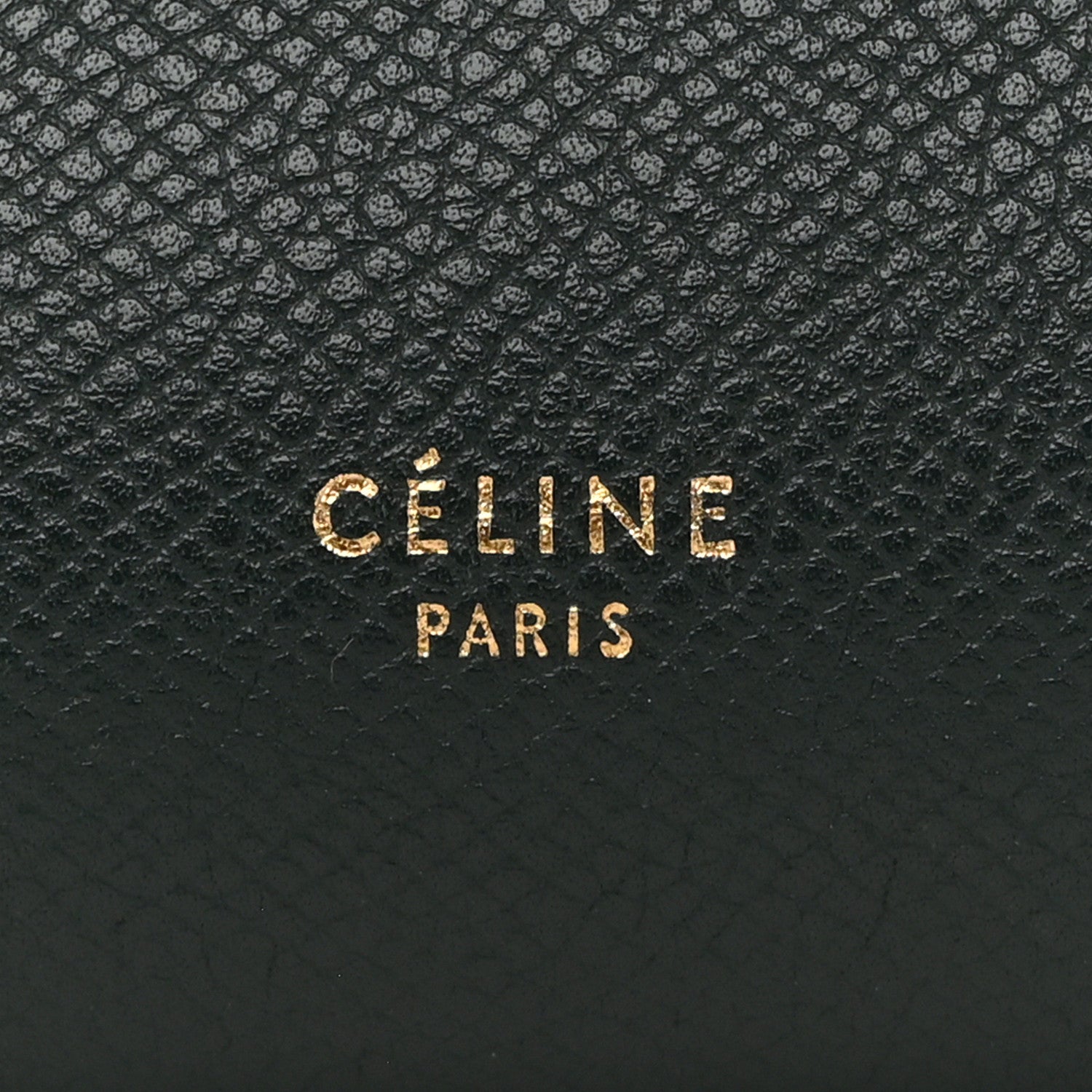 Celine Grained Calfskin Micro Belt Bag Amazone 6 of 15