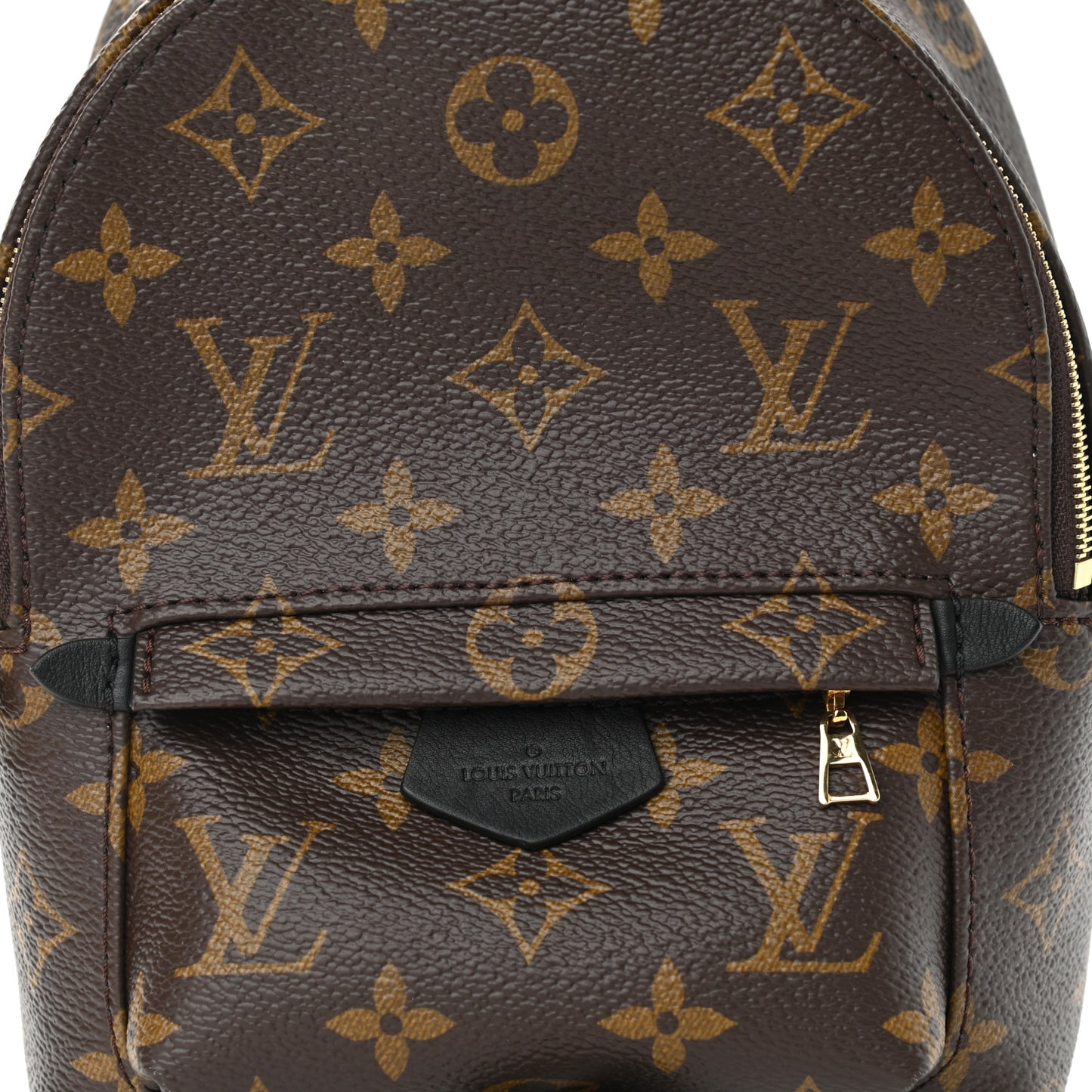 Monogram Palm Springs Backpack Mini