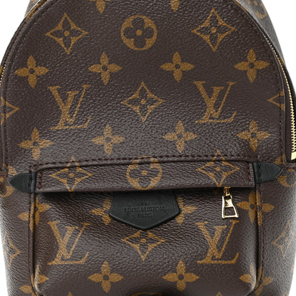 Louis Vuitton Monogram Palm Springs Backpack Mini 8 of 10