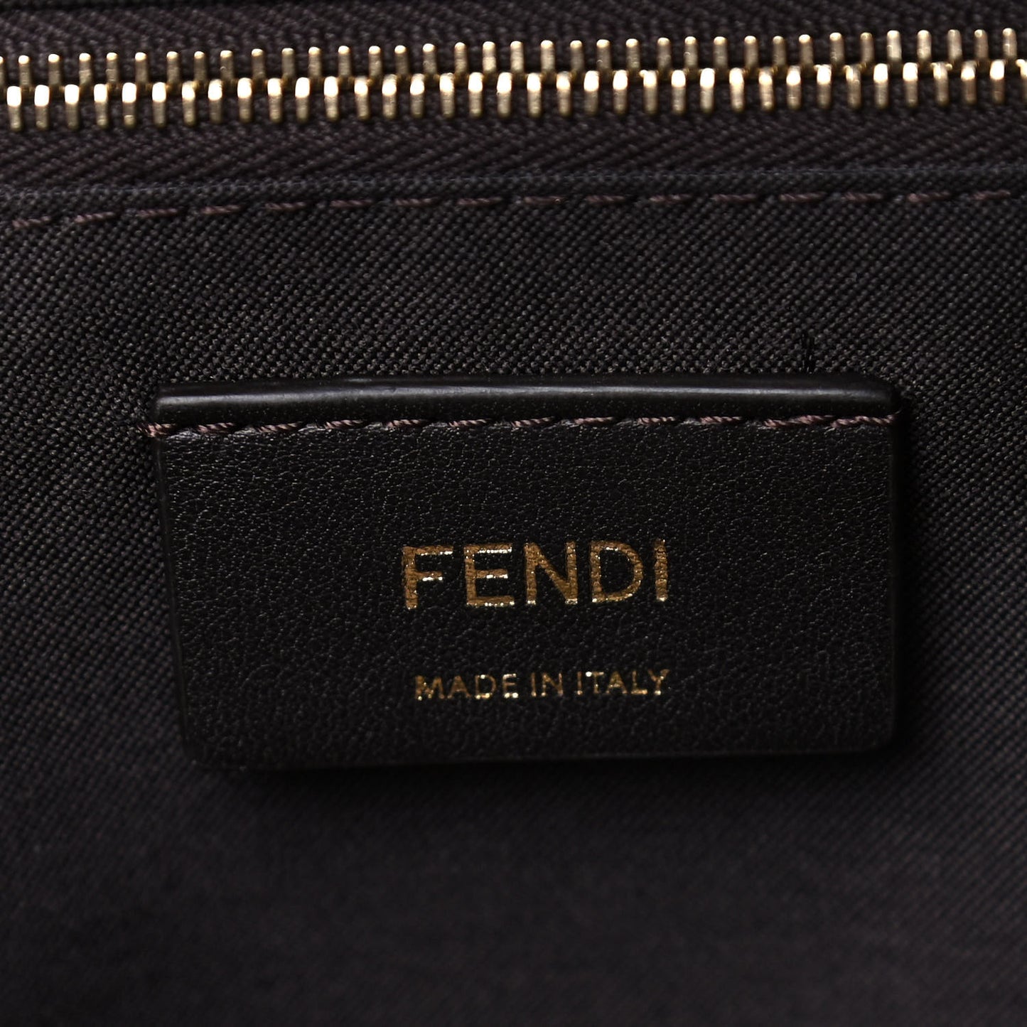 Velvet Vitello Century FF Embossed Mini Backpack Camaleonte