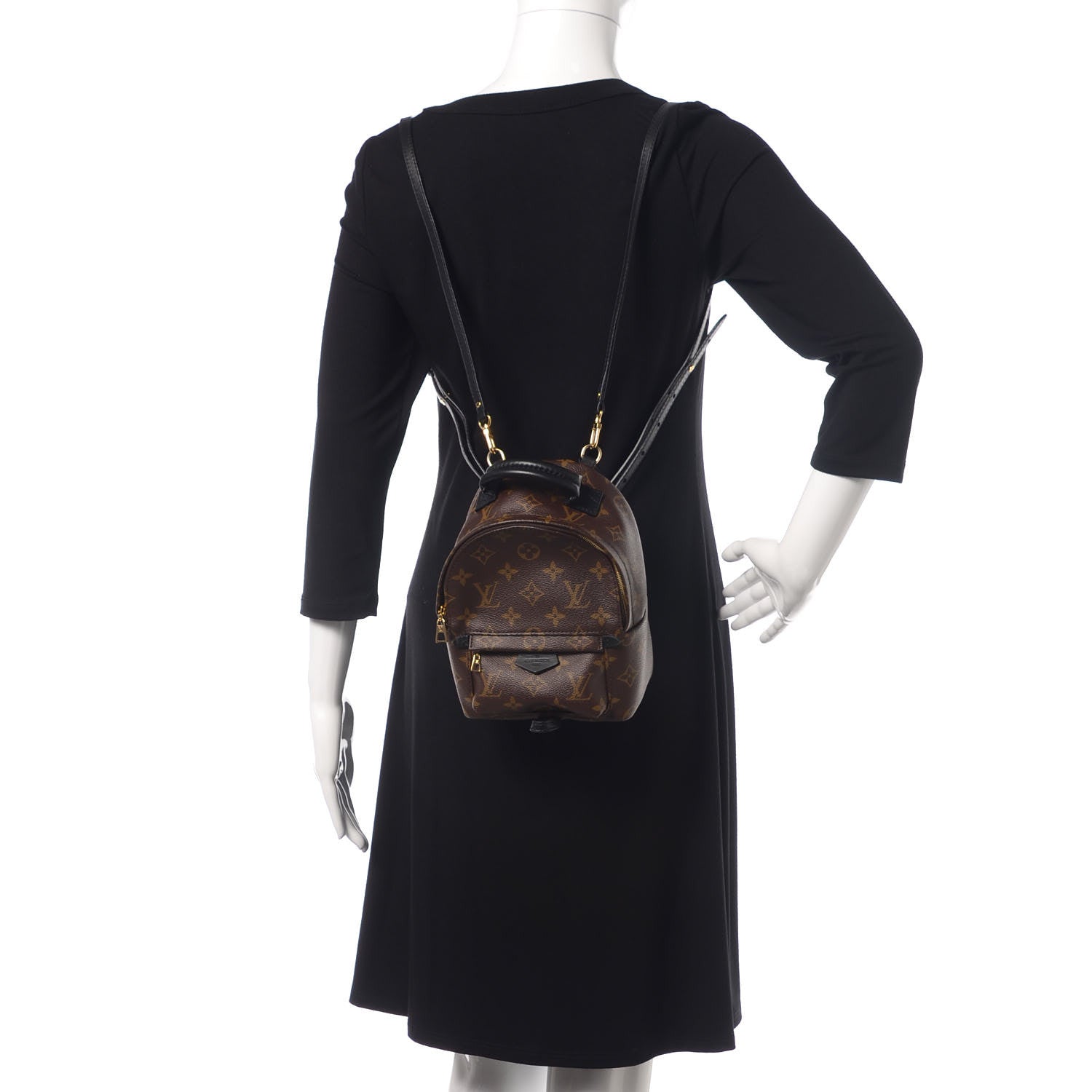 Louis Vuitton Monogram Palm Springs Backpack Mini 2 of 12