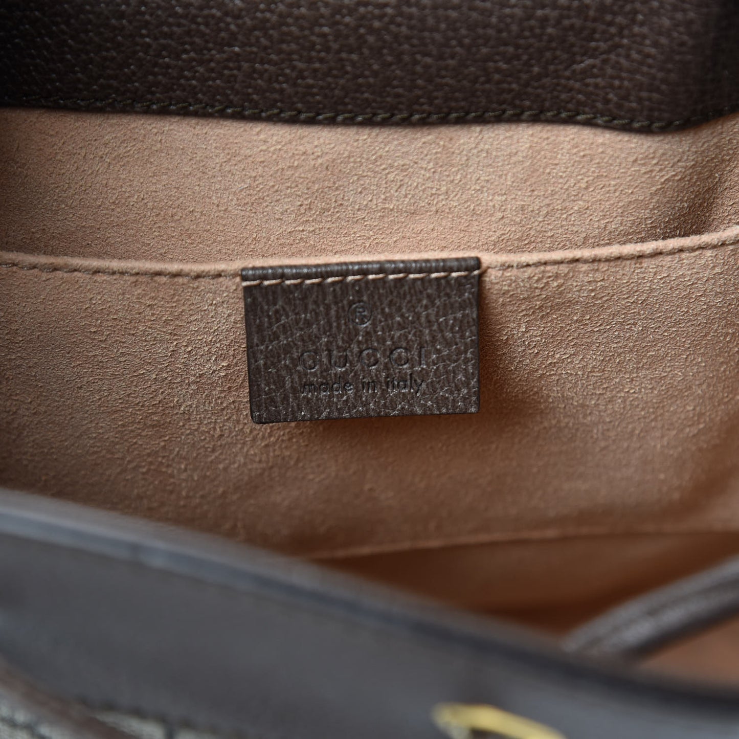 GG Supreme Monogram Web Small Ophidia Bucket Bag Brown