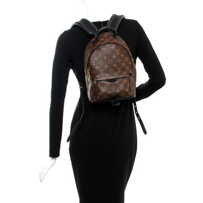 Louis Vuitton Monogram Palm Springs Backpack PM 2 of 6