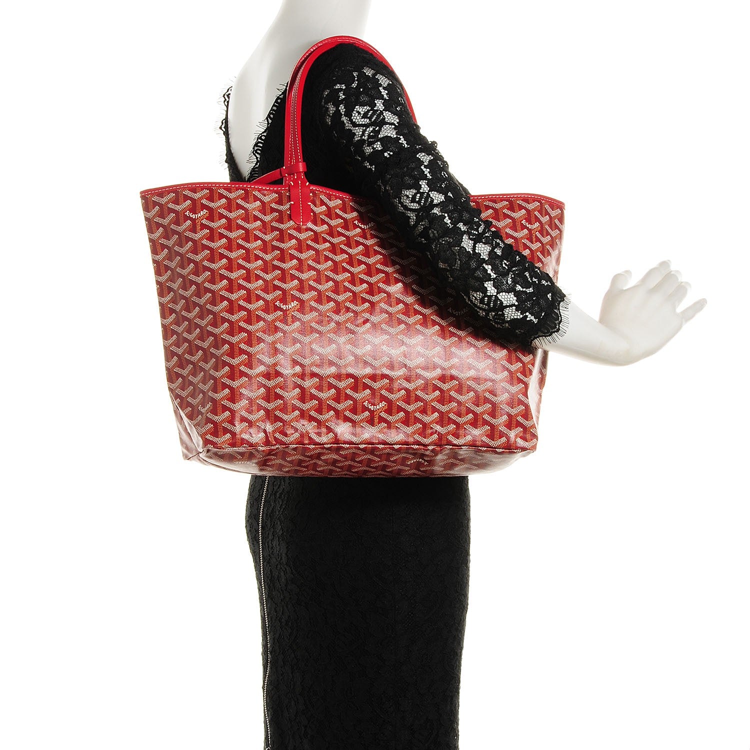 Goyard Goyardine Saint Louis PM Red 2 of 7