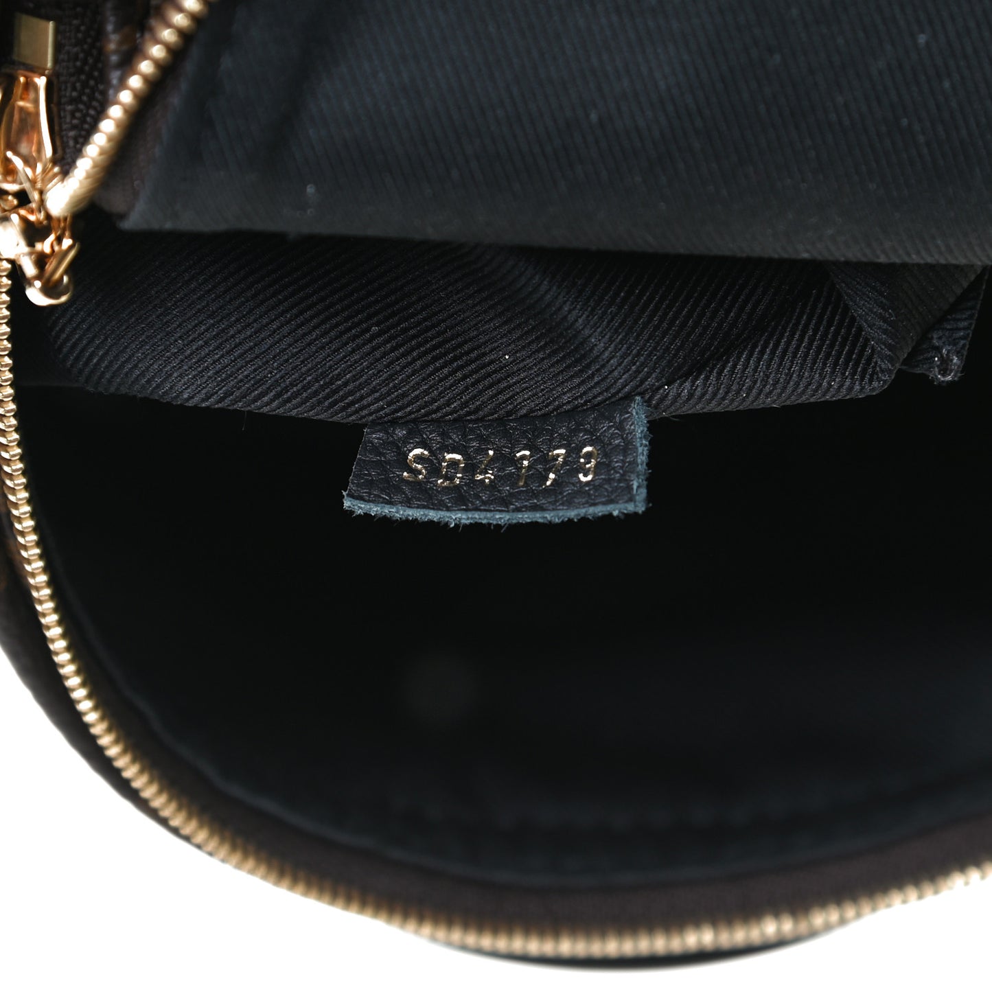Monogram Palm Springs Backpack Mini