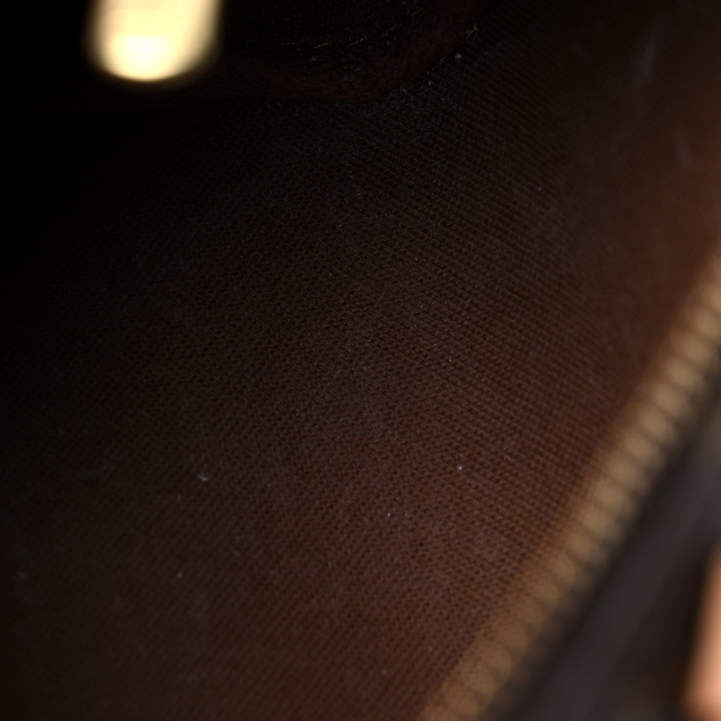 Monogram Nano Speedy