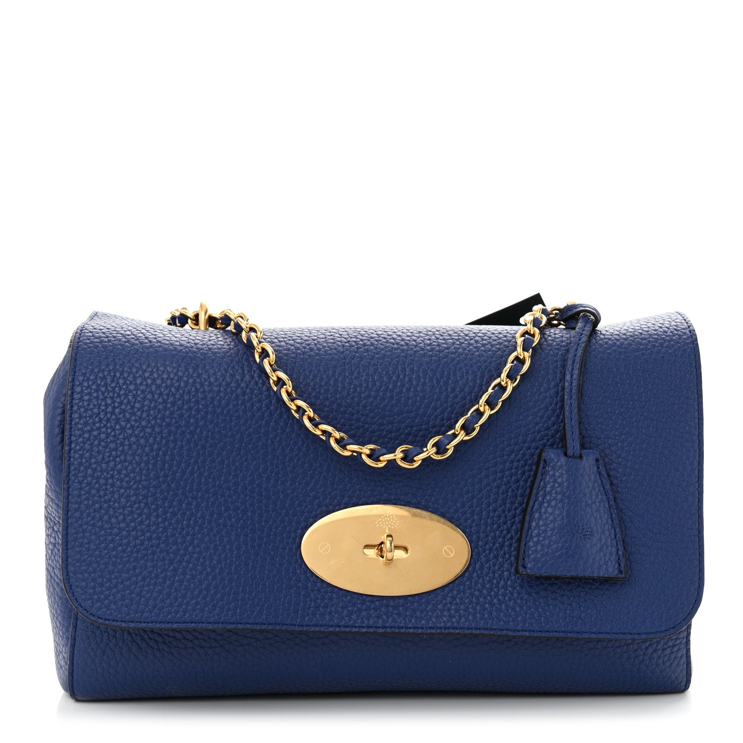Mulberry Heavy Grain Medium Lily Pigment Blue 1 of 10