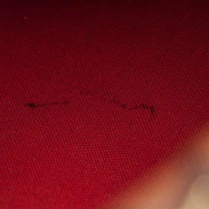 Louis Vuitton Damier Ebene Speedy 30 8 of 9