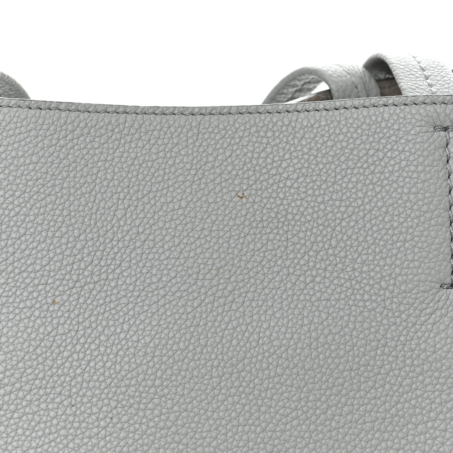 Soft Grained Calfskin Small Belt Cabas Phantom Mineral