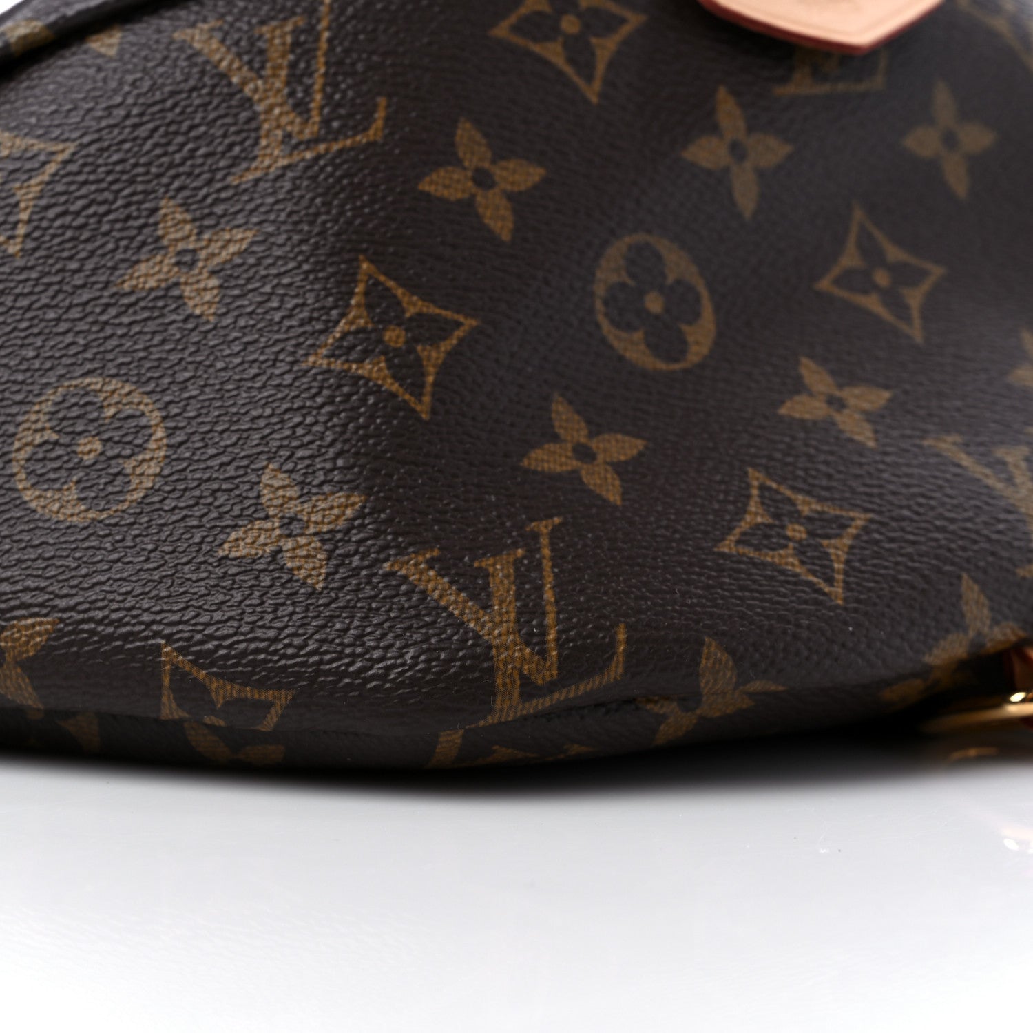 Louis Vuitton Monogram Bumbag 8 of 12