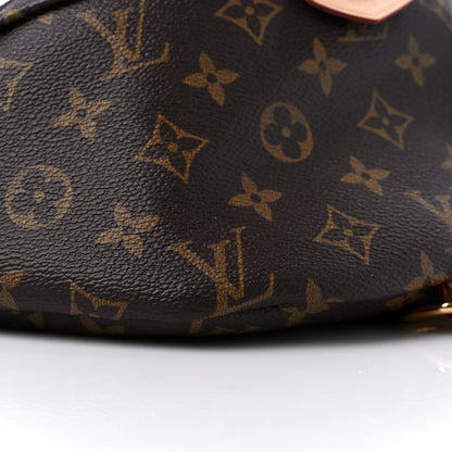 Louis Vuitton Monogram Bumbag 8 of 12