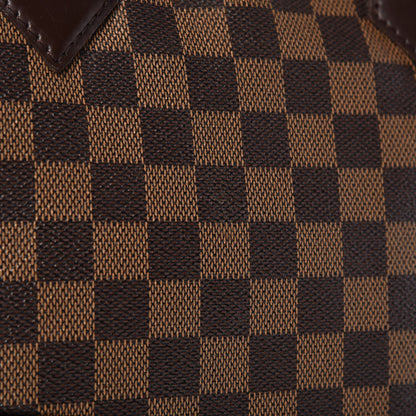 Louis Vuitton Damier Ebene Saleya PM 19 of 20