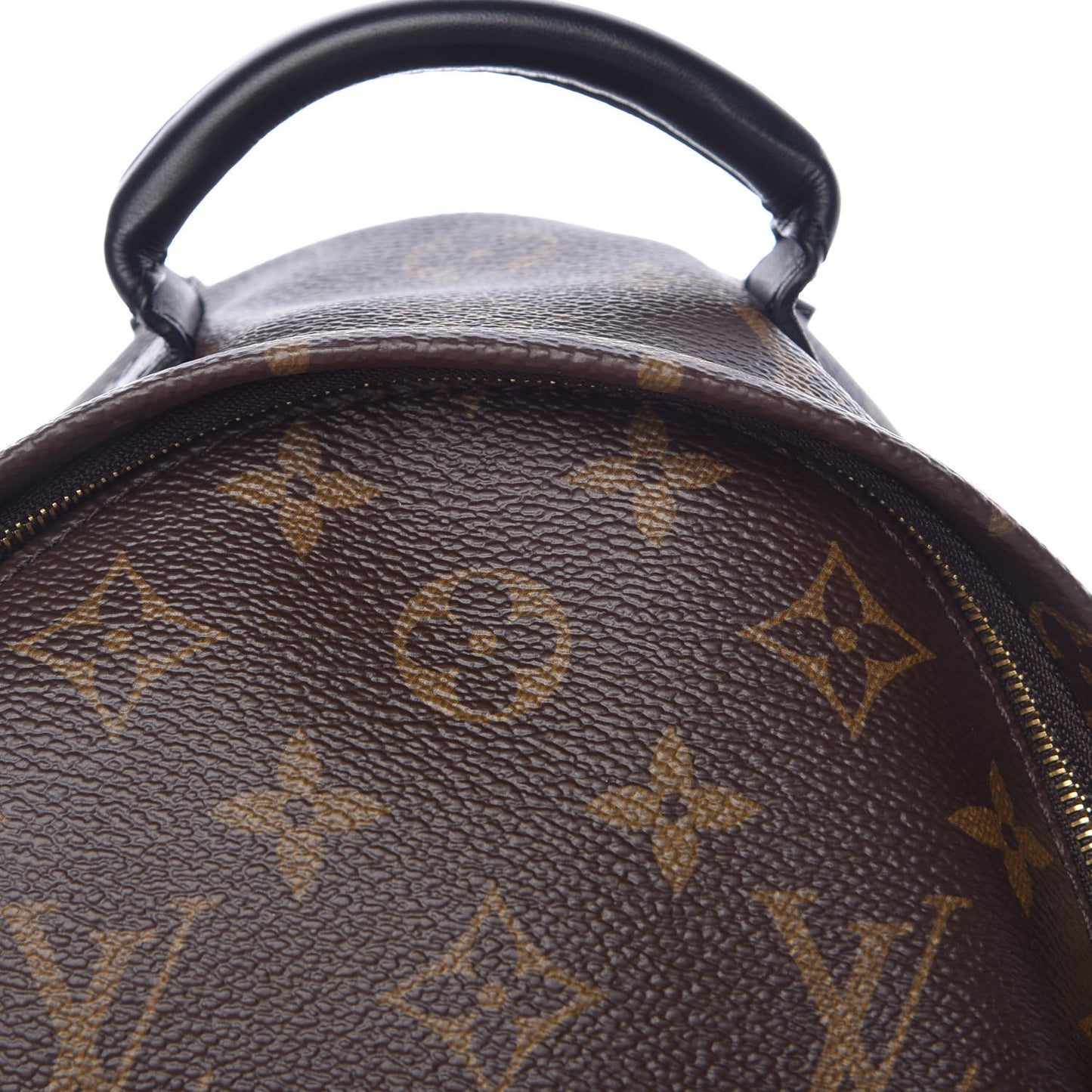 Monogram Palm Springs Backpack Mini