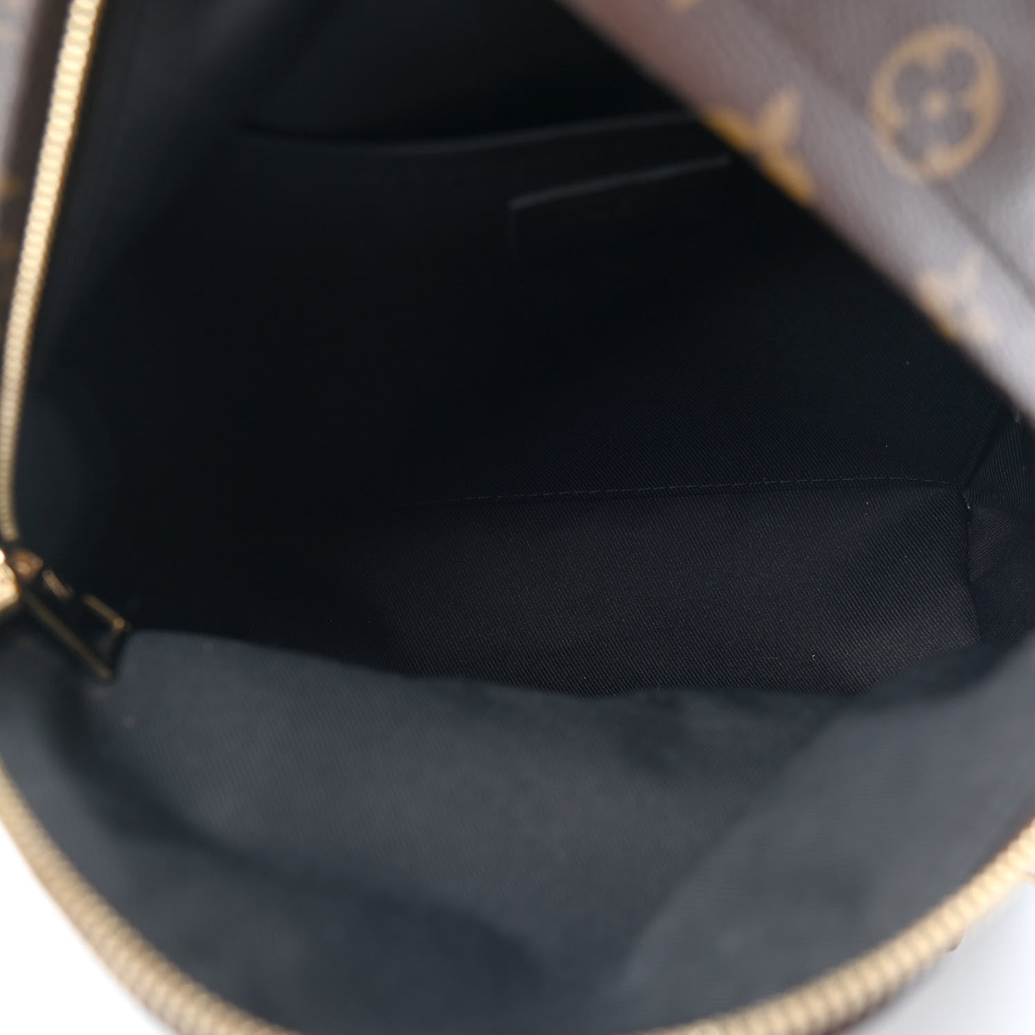 Louis Vuitton Monogram Palm Springs Backpack PM 4 of 4