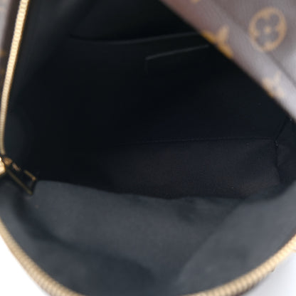 Louis Vuitton Monogram Palm Springs Backpack PM 4 of 4