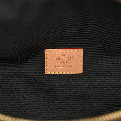 Louis Vuitton Monogram Bumbag 6 of 10