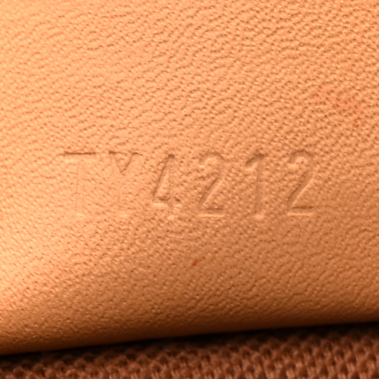 Monogram Nano Speedy Bandouliere