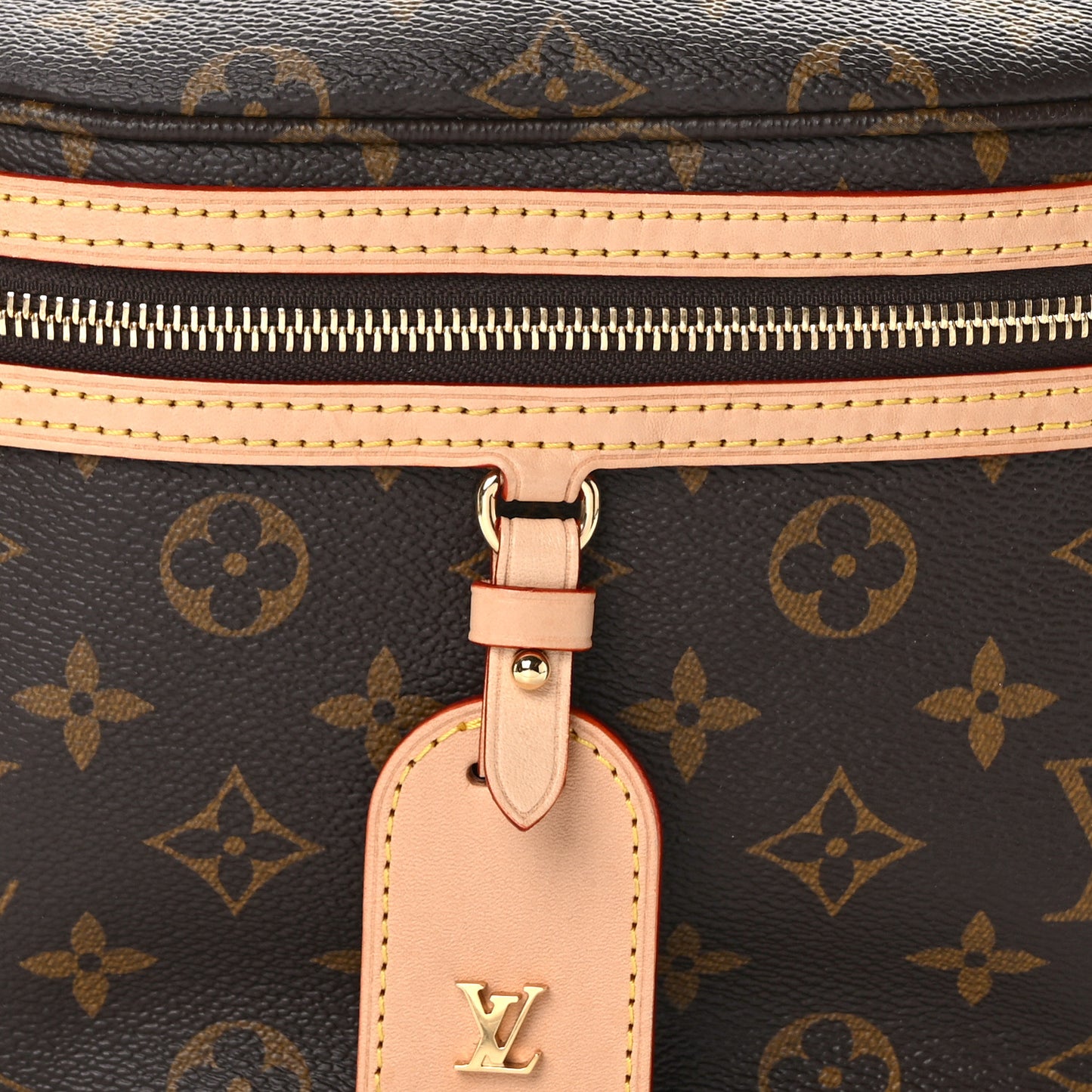 Monogram High Rise Bumbag