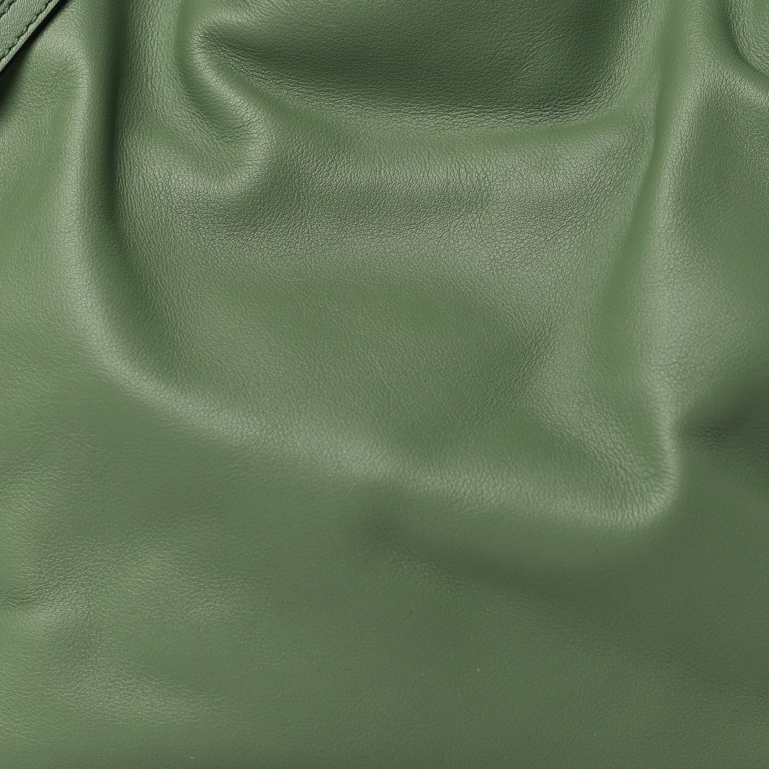 Loewe Calfskin Mini Flamenco Knot Clutch Rosemary 8 of 11