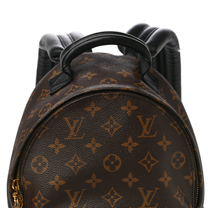 Louis Vuitton Monogram Palm Springs Backpack PM 9 of 11